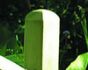 Round Top Posts