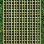 Square Trellis
