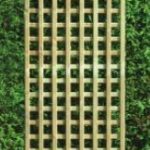 Square Trellis