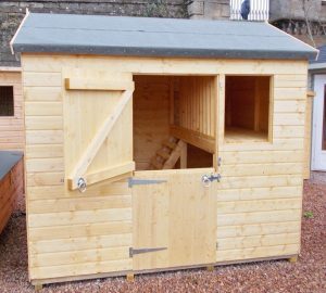 Playhouse/Shed