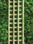 Square Trellis